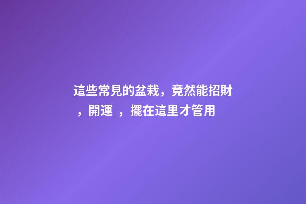 這些常見的盆栽，竟然能招財，開運，擺在這里才管用